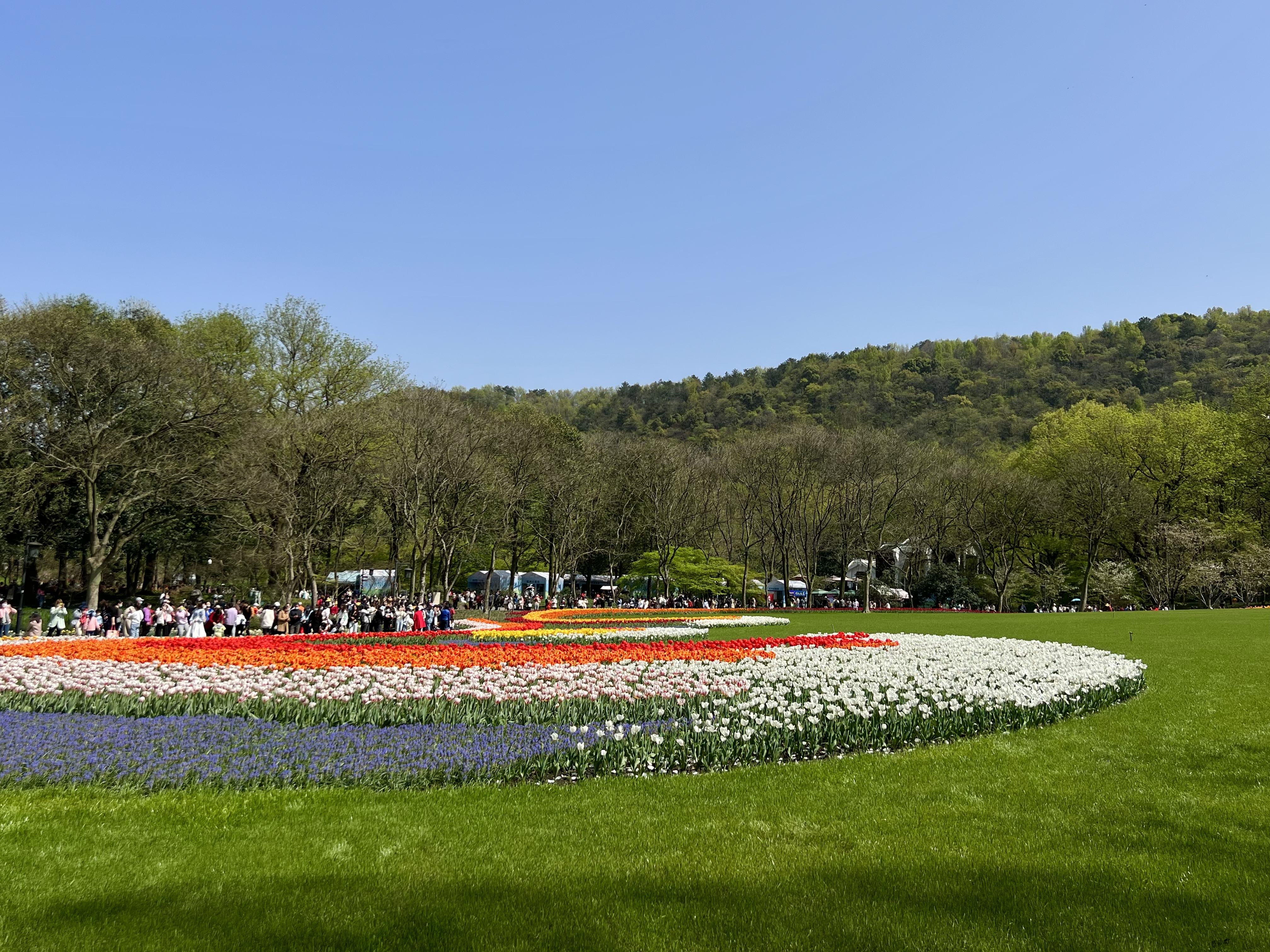 杭州太子湾是春天的代表