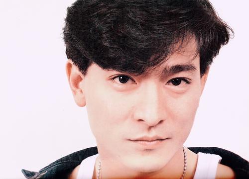 不一样的帅气刘德华