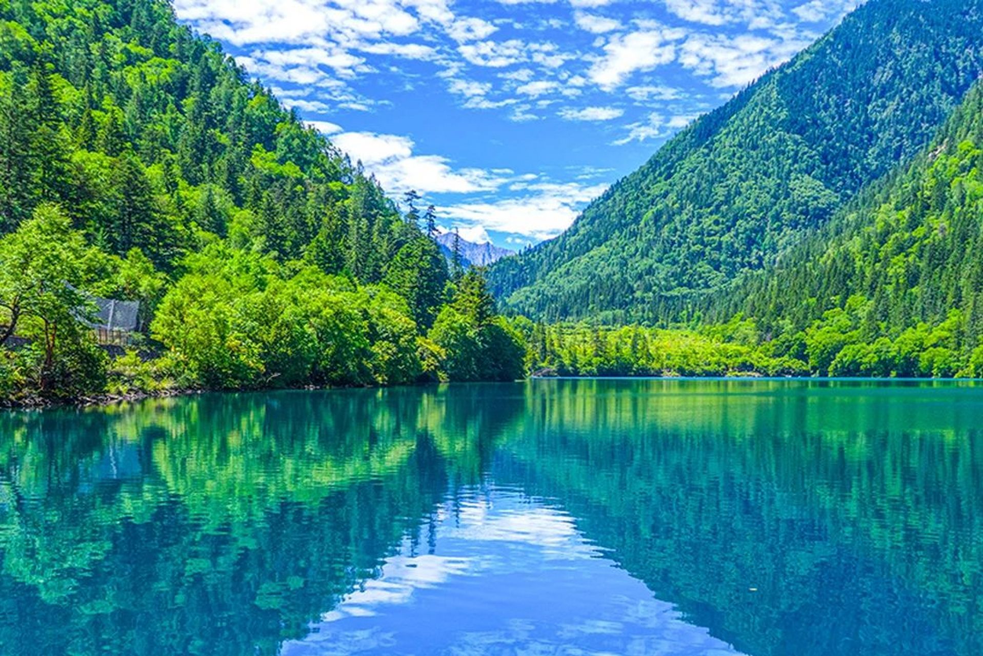 迷人的自然风景 i  人间仙境九寨沟 踏进九寨沟,碧绿的湖水,白雪皑皑