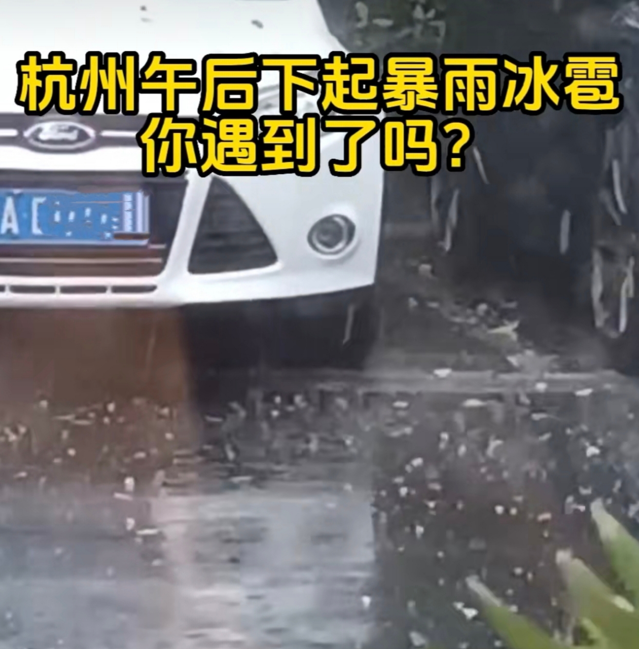 杭州午后暴雨冰雹!你遇到过吗?