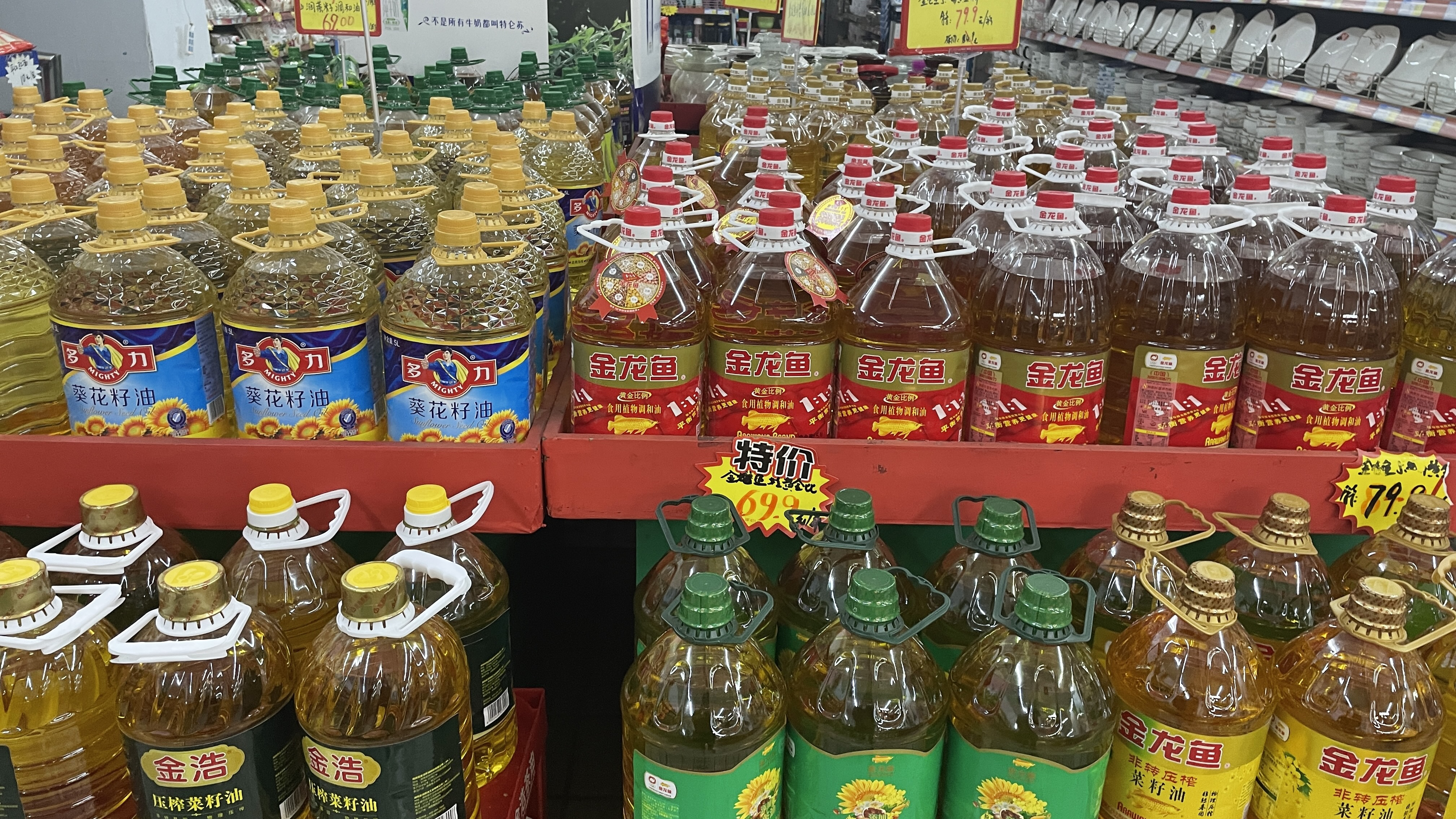 广东油5月份涨价太吓人,看看现在多少钱一瓶,你还敢买吗?
