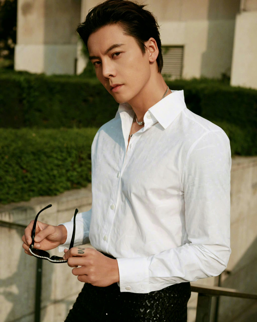 理想型男明星,陈伟霆