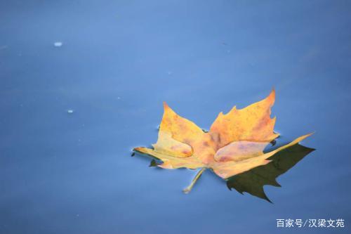 河南诗人唐勤亮作品《秋兴八首》（图7）
