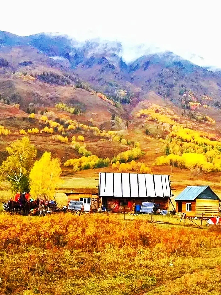 大美新疆:无法拒绝的阿勒泰禾木秋季美景欣赏