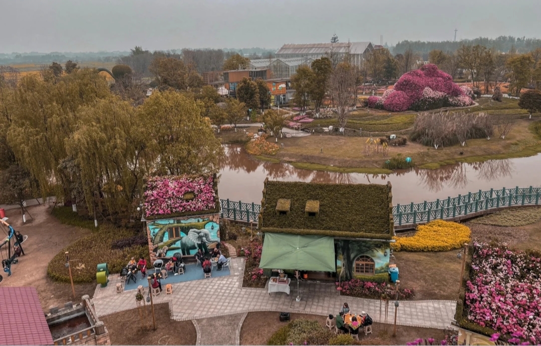 愛麗絲夢遊仙境——安仁奇境花園