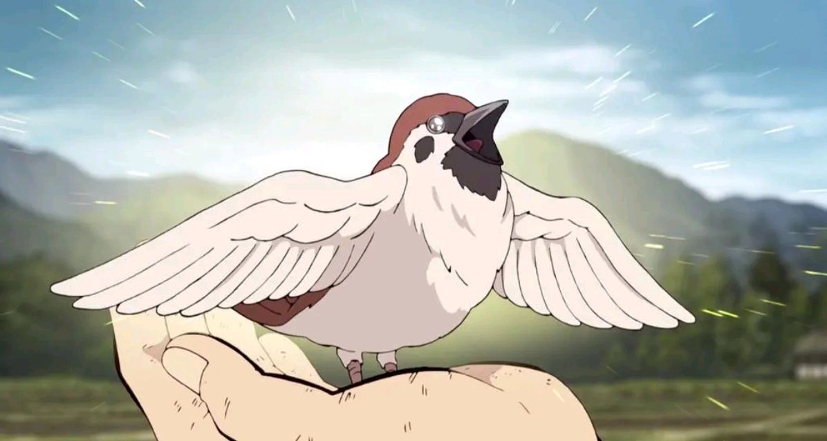 鬼灭之刃:不是吧!一只麻雀居然也要担起鬼杀队的重任!