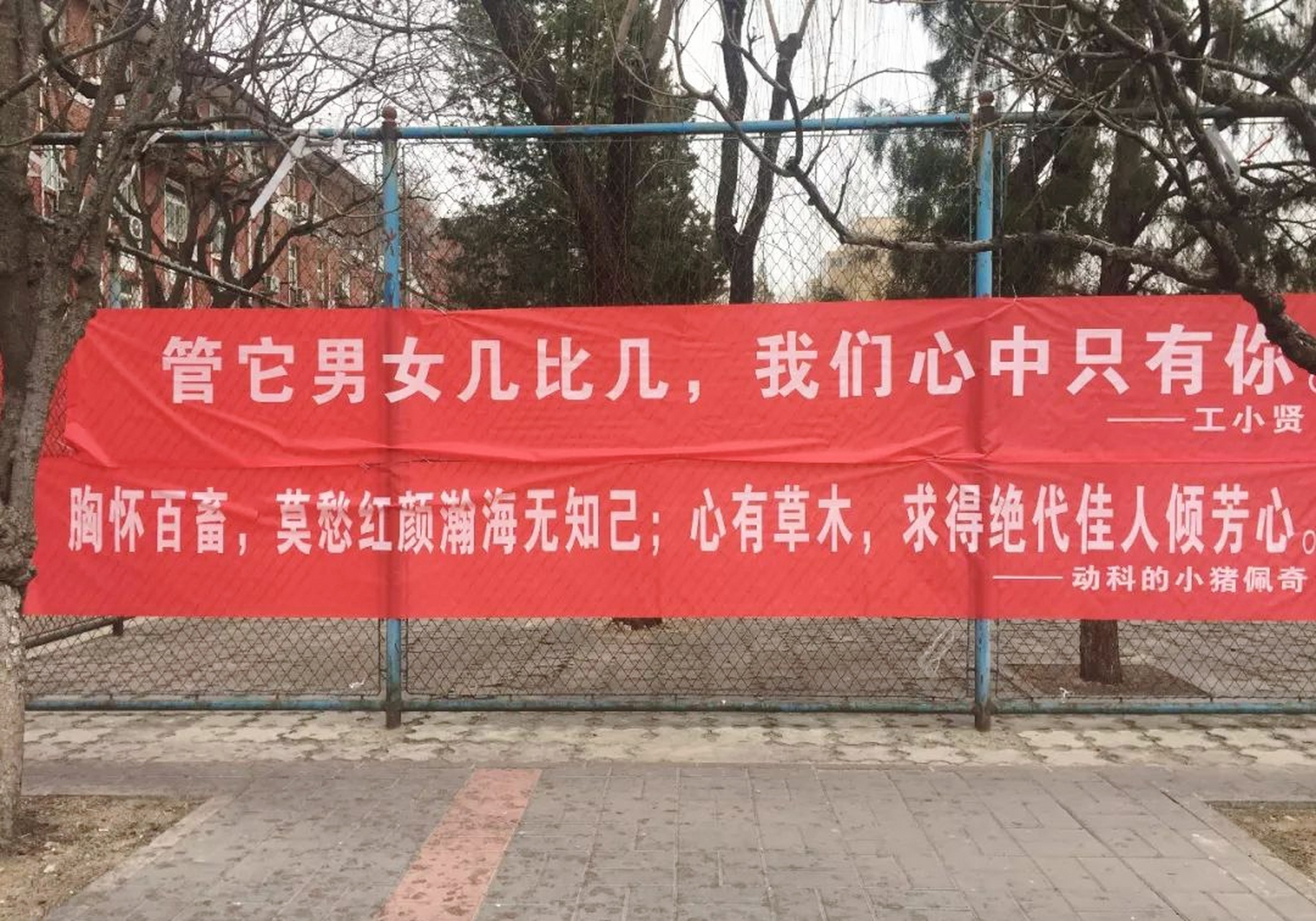 短信广告语大全搞笑图片高清壁纸