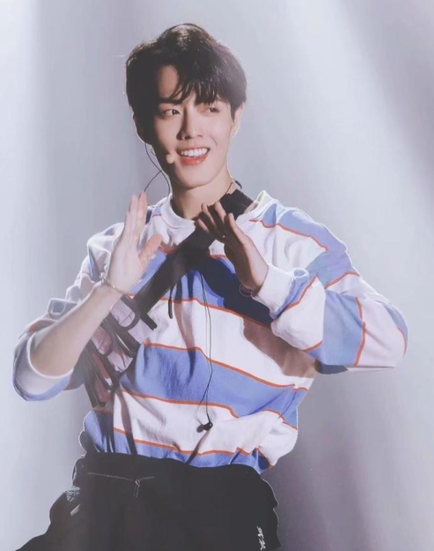 肖战获红旗跑车代言!全球限量99台,主流品牌对其情有独钟