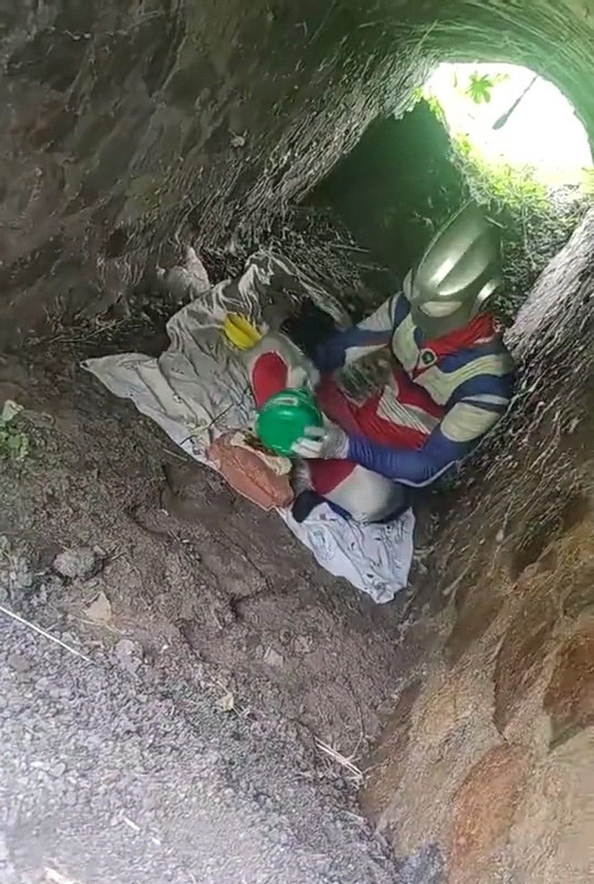 发现一只野生奥特曼.