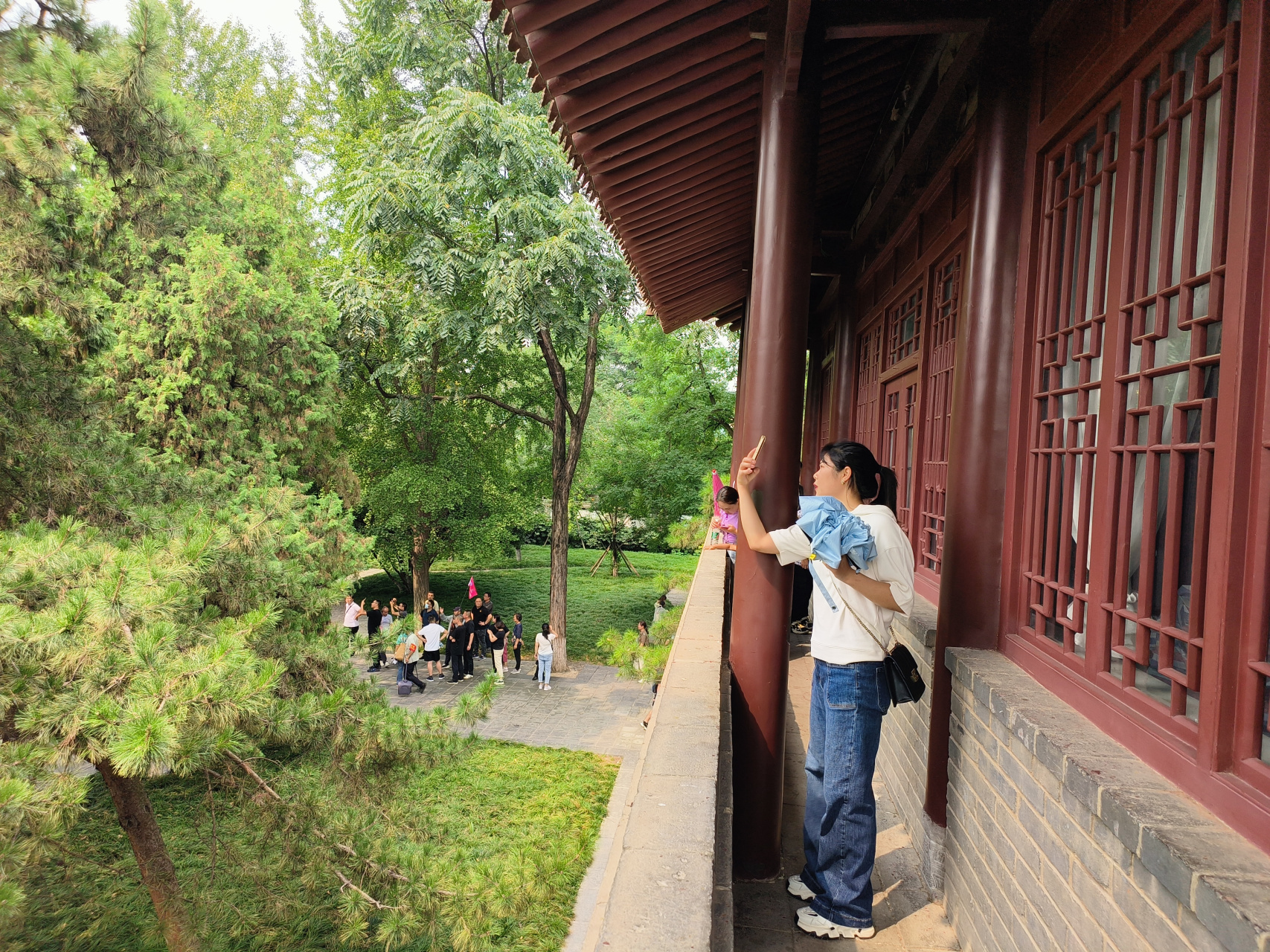 西安市小雁塔景区内的白衣阁松柏环绕,四周芳草萋萋,一幅初秋盛景