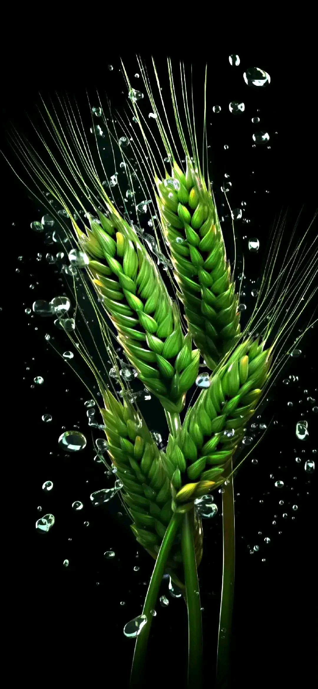 护眼高清手机壁纸喜欢拿走