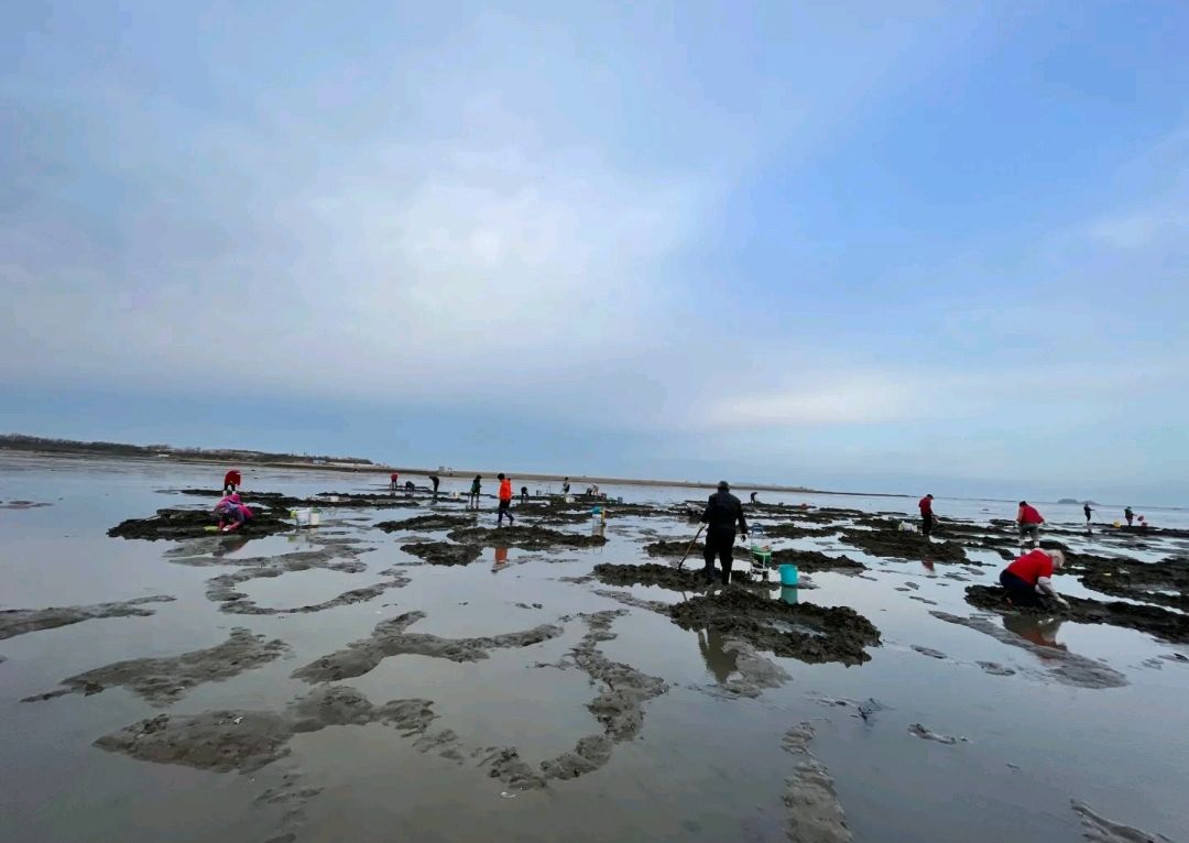 海边赶海 baijiahao.baidu.com