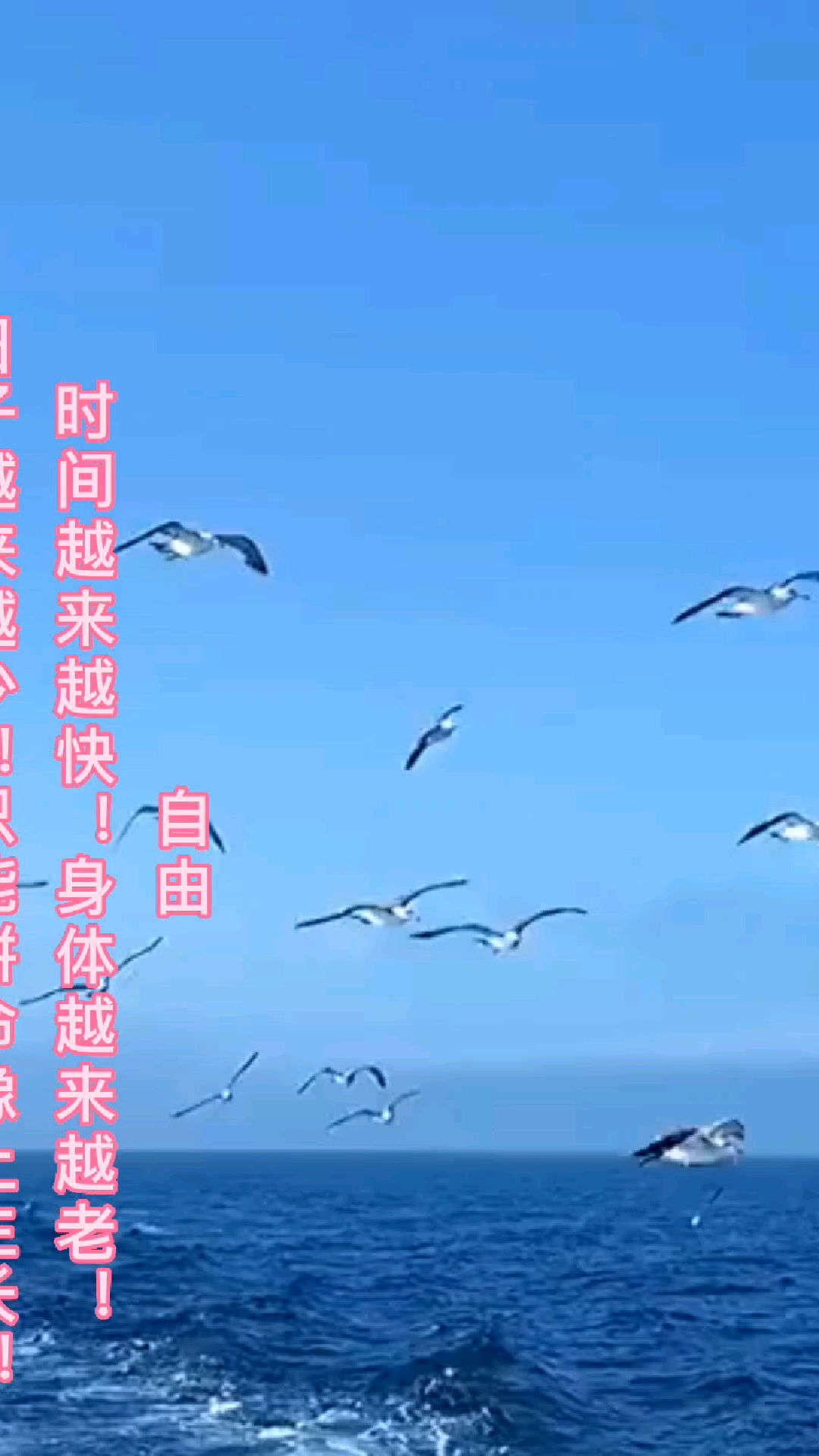 自由生活的向往