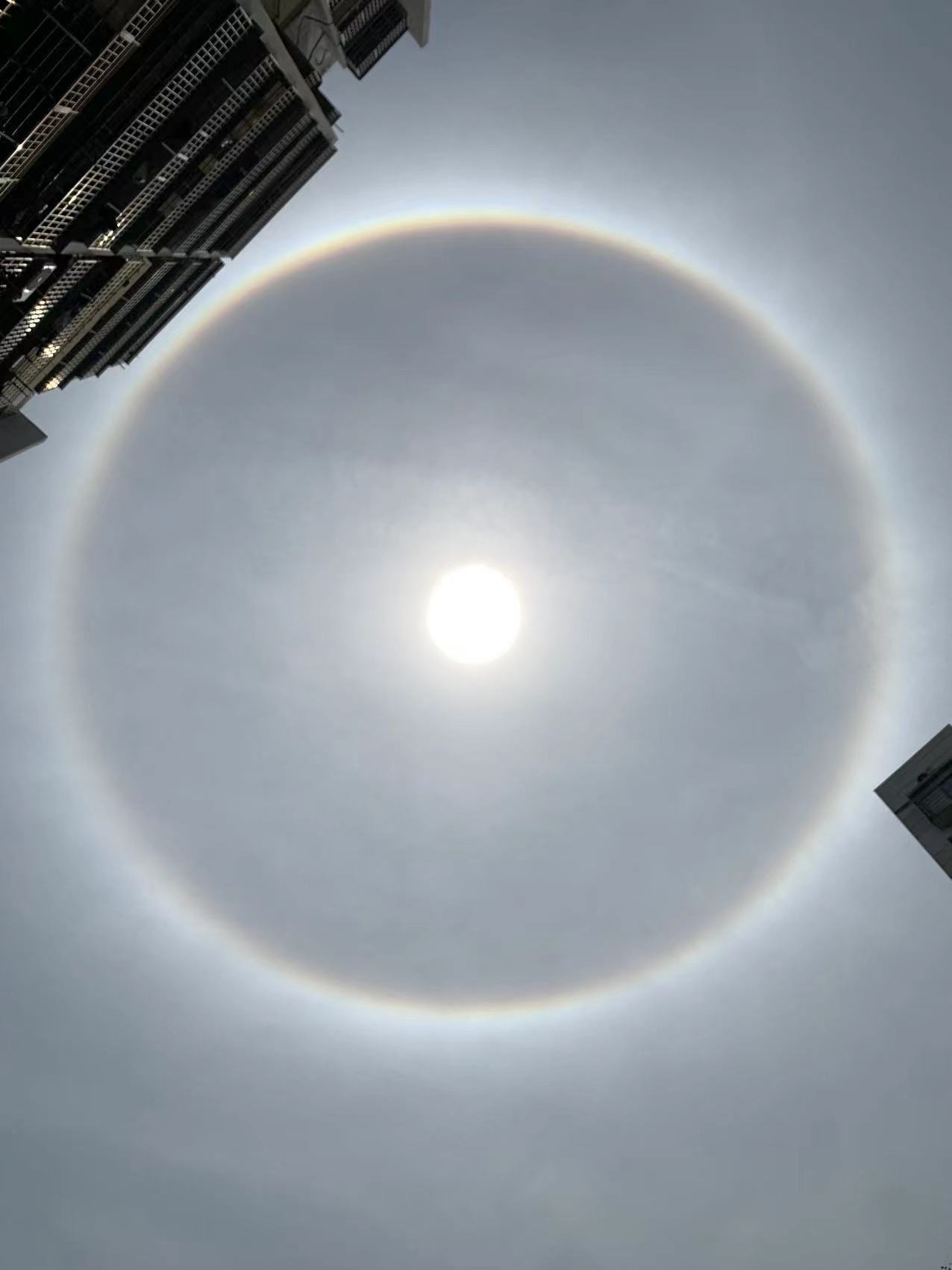 为什么太阳是圆形的？