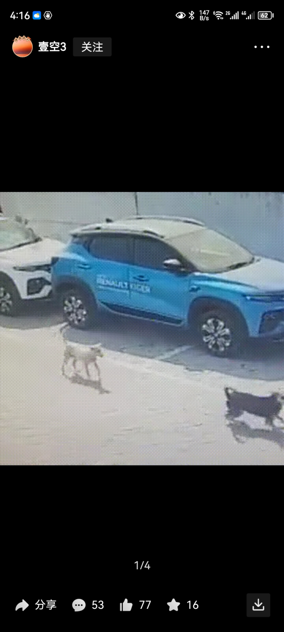 孩子痛苦哀嚎,最终惨死在恶犬的嘴下!看完这个新闻既心疼孩子!