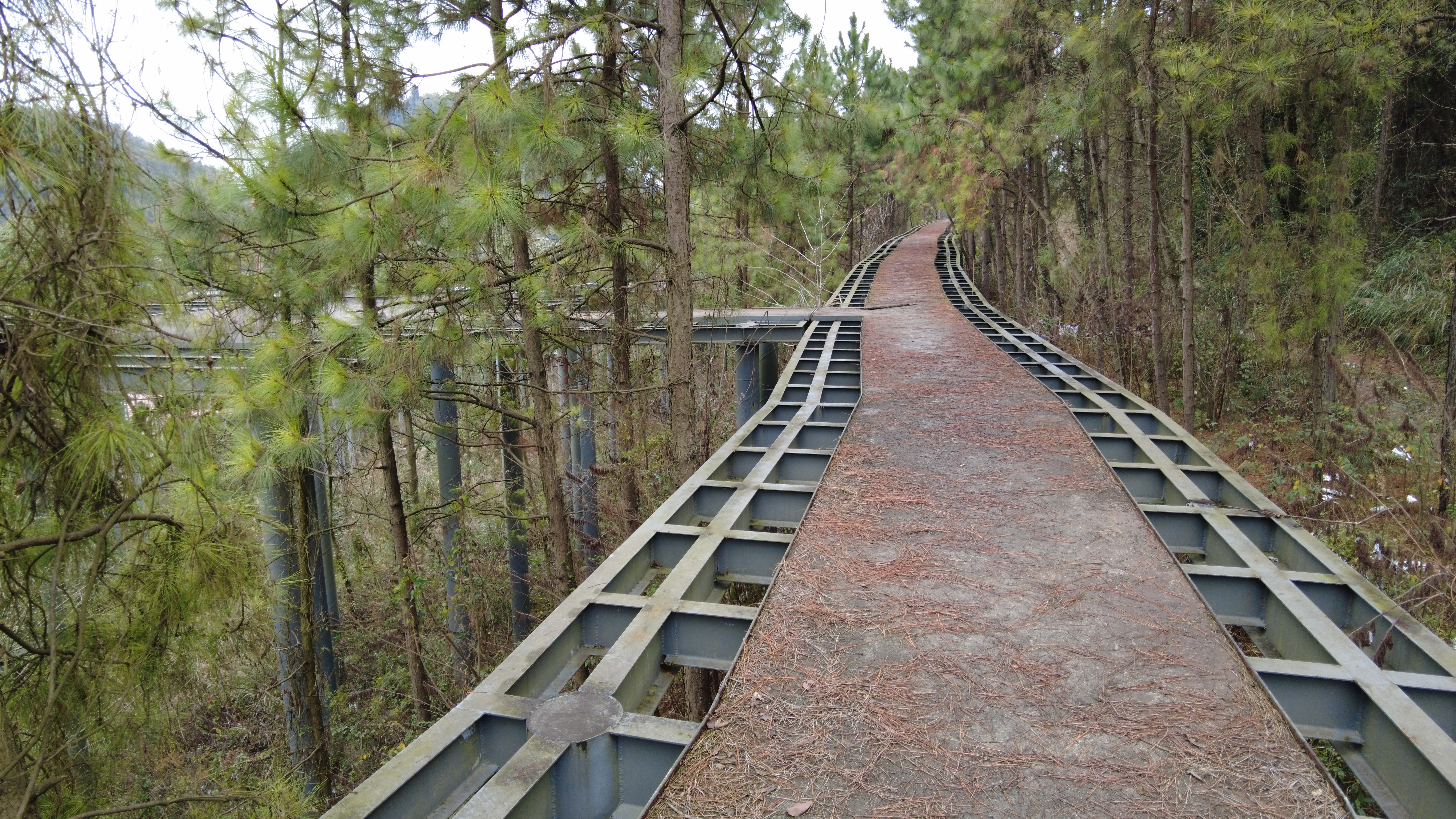 这里是贵州遵义的南岭公园