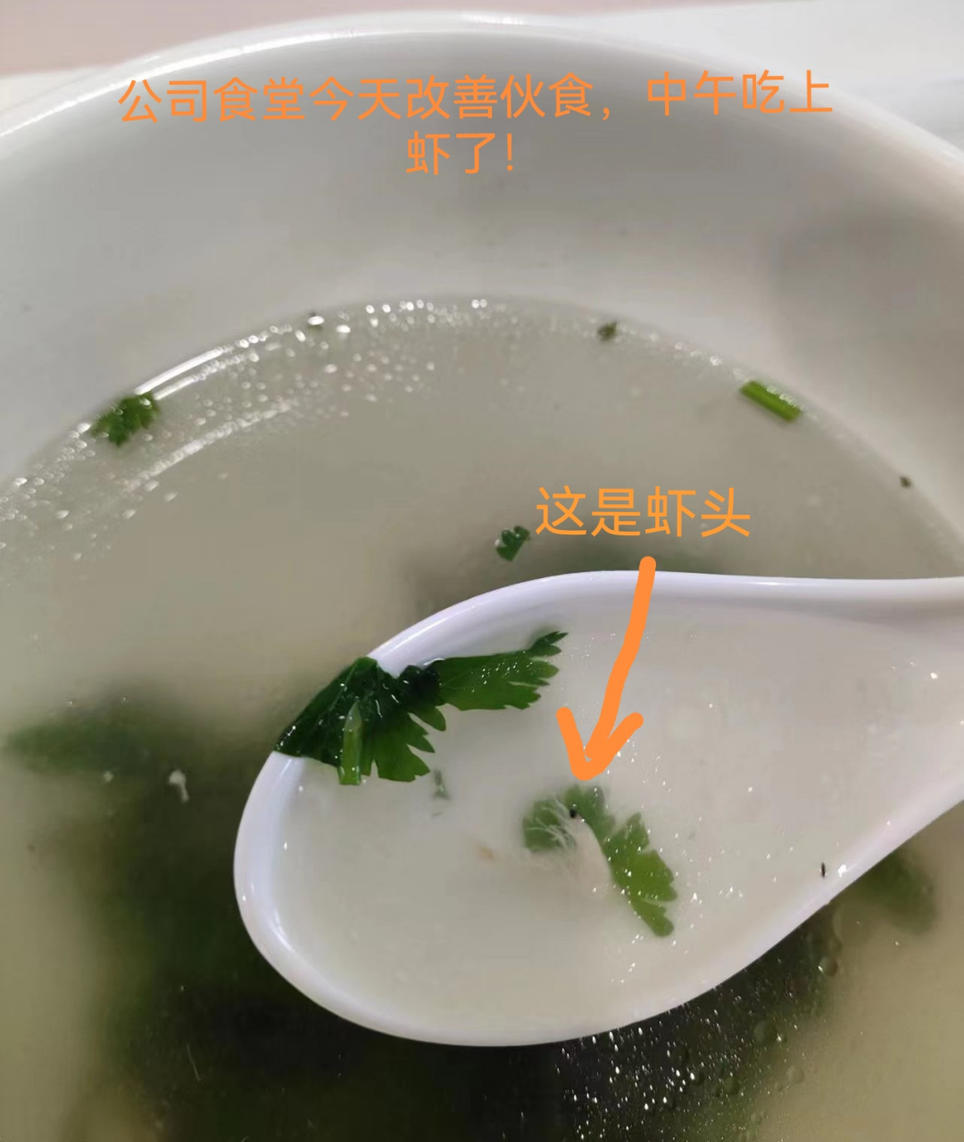 盐拌粥的搞笑图片图片