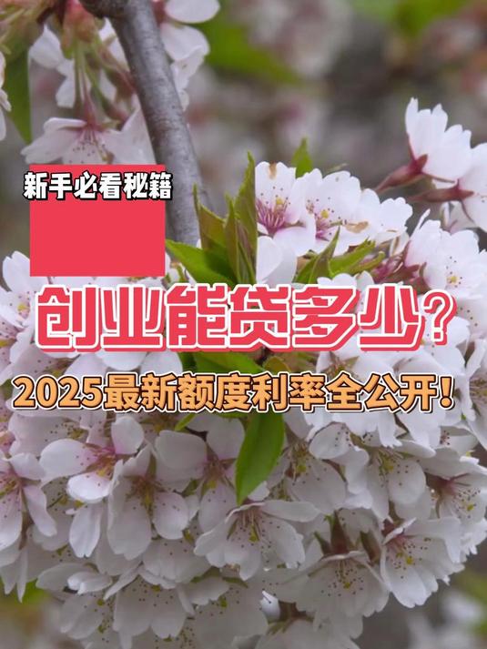 创业贷款20万元利息高吗(创业贷款20万元利息高吗多少)