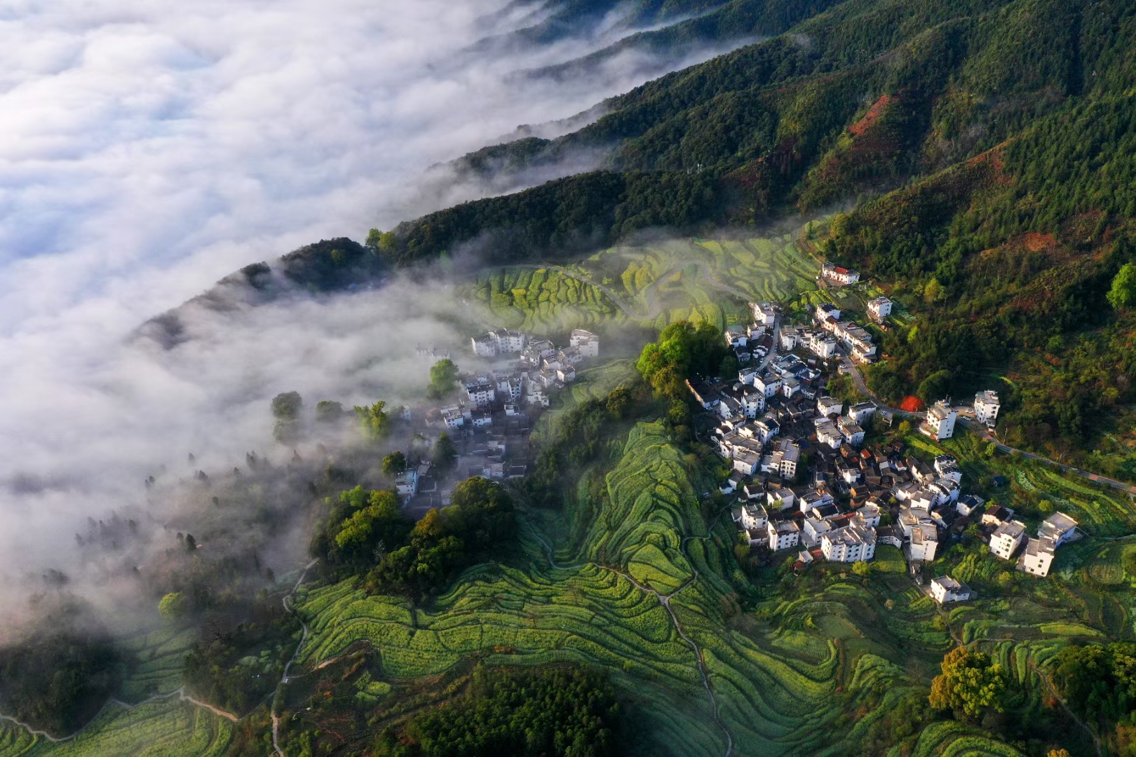 江西省婺源县溪头乡江岭景区美丽如画