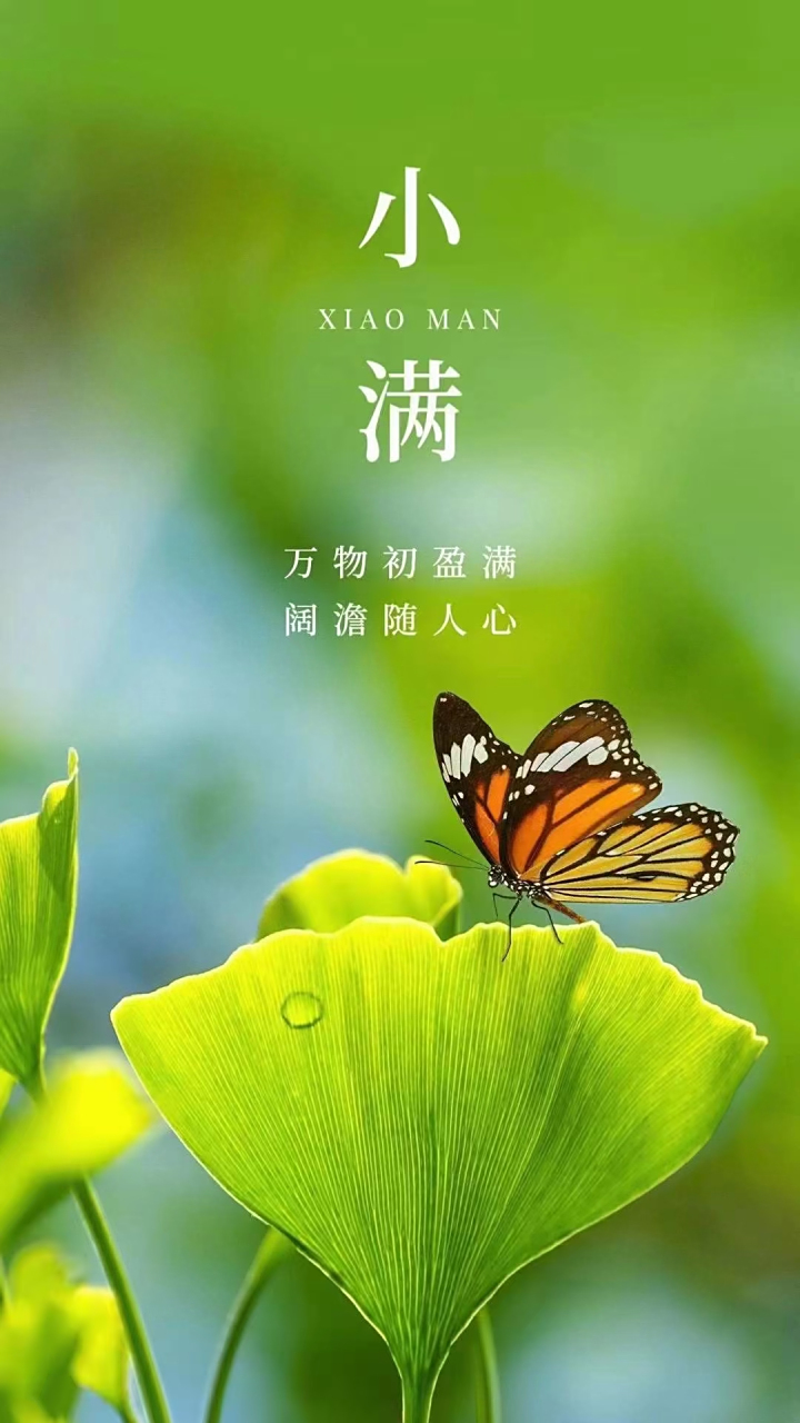 521遇见小满,愿你人生收获满满,家庭幸福满满,工作生活美满!