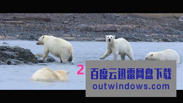 2022美国纪录片《北极熊》HD1080P.中英双字1080p|4k高清