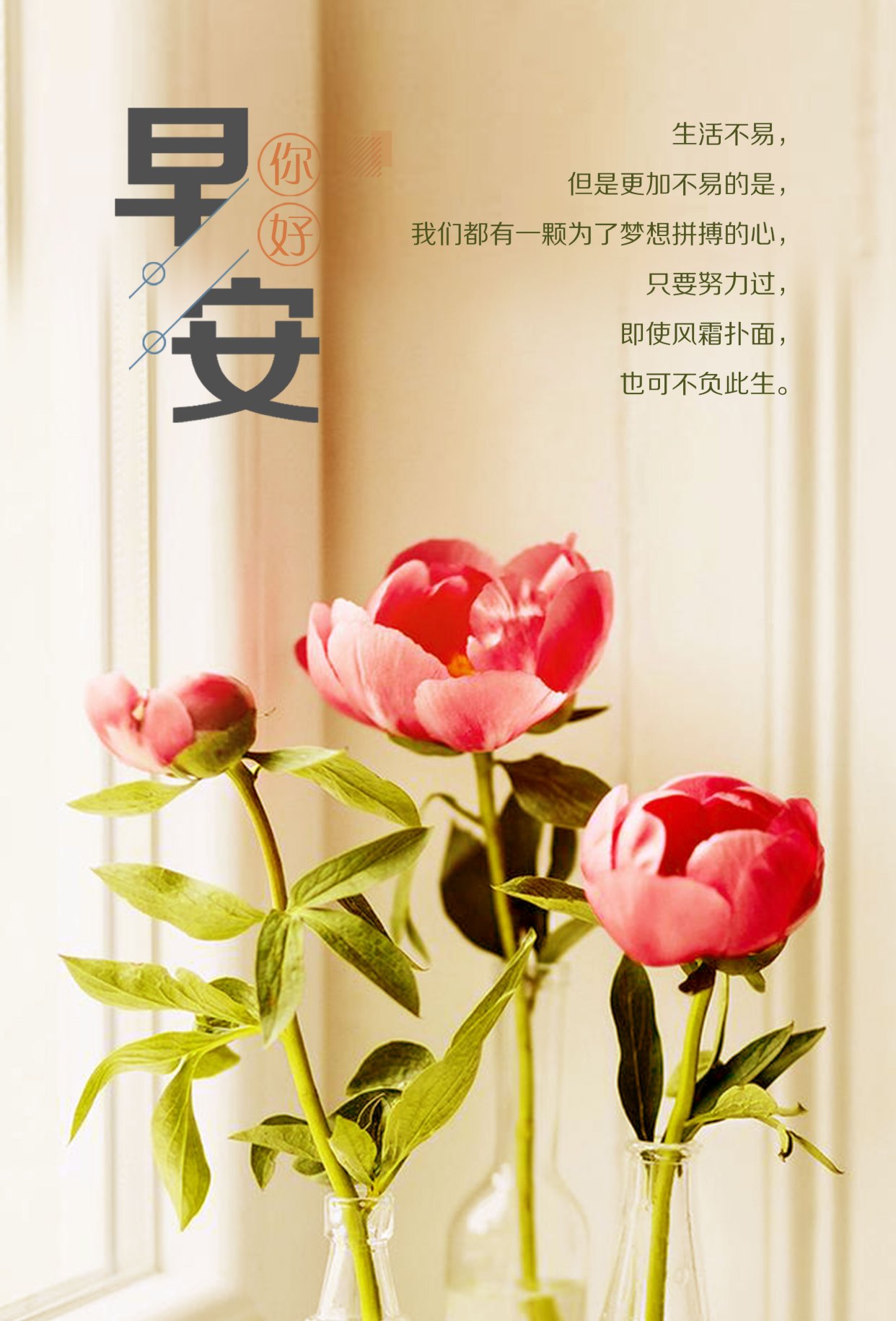 值得一看的早安短句,发朋友圈早安精致短句,瞬间被秒赞!