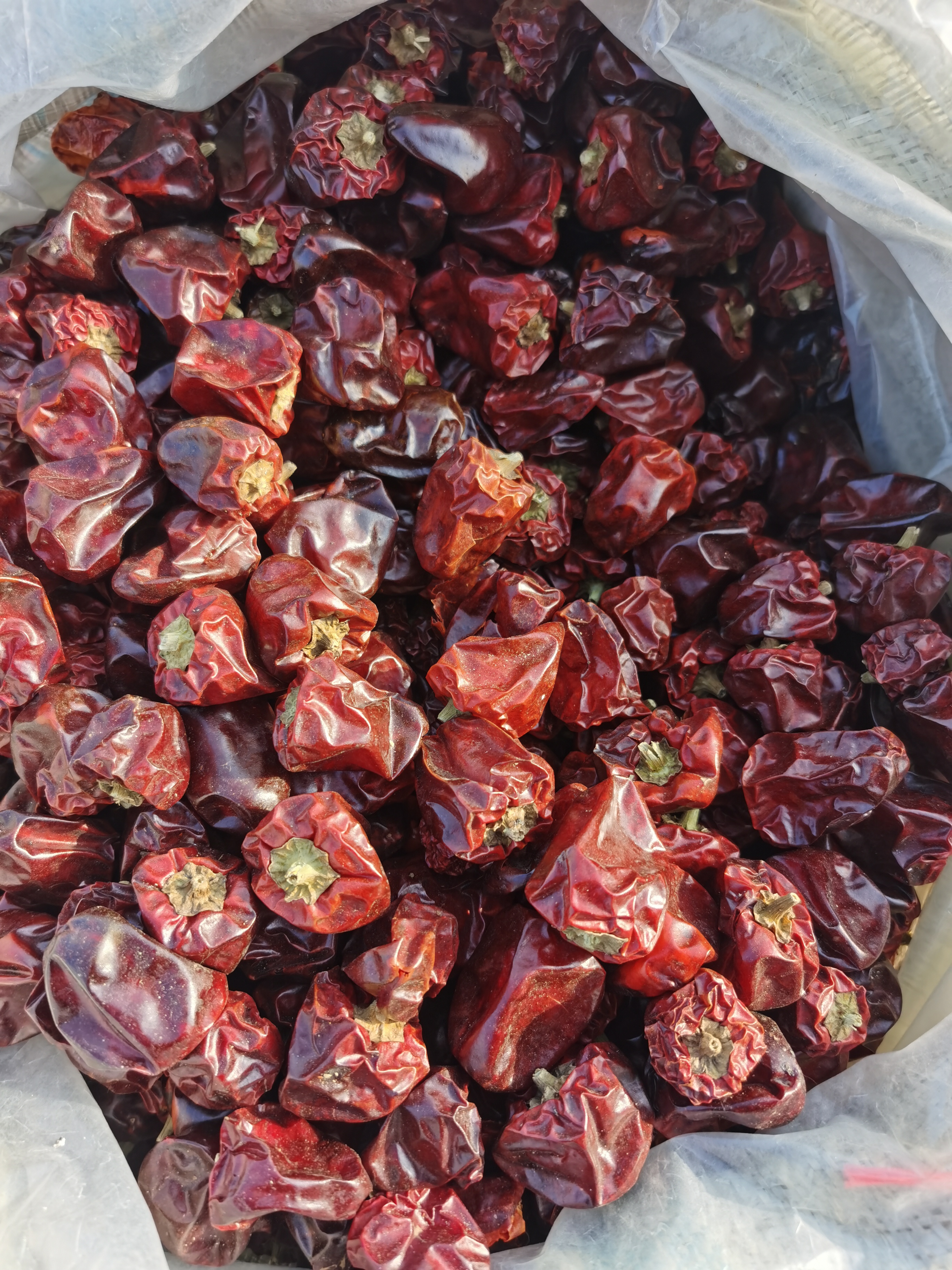 辣椒有这么多品种,你能认得几个