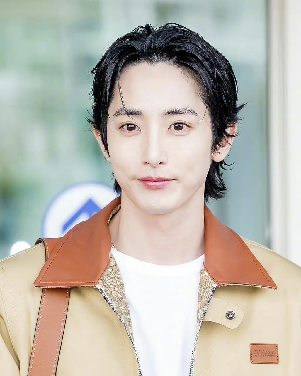 韩国明星里李洙赫这样的算得上帅哥么