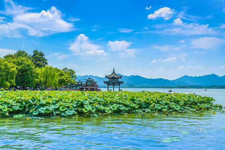 湖南常德西洞庭首届荷花节,炎炎夏日的美丽盛宴!
