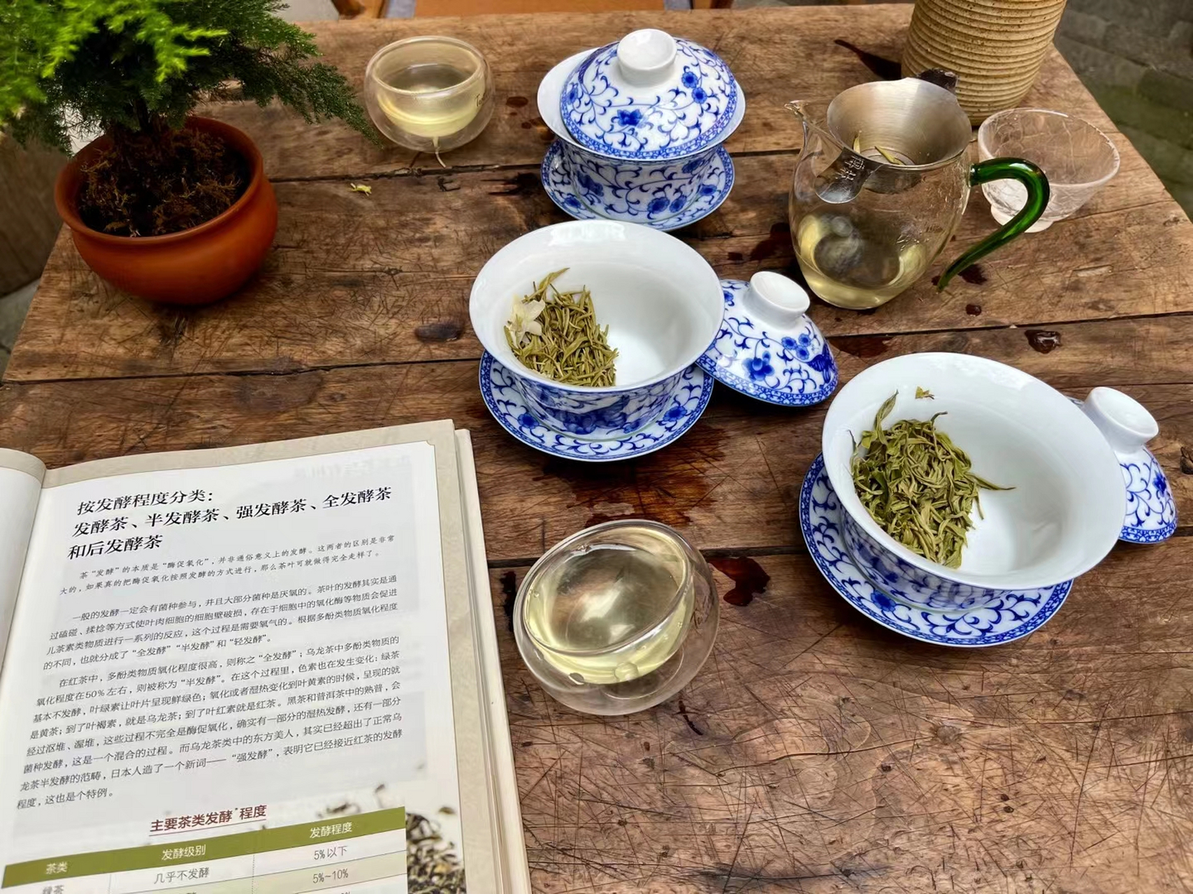 人生就像一杯茶.平淡是它的本色,苦涩是它的历程,清香是它的馈赠.
