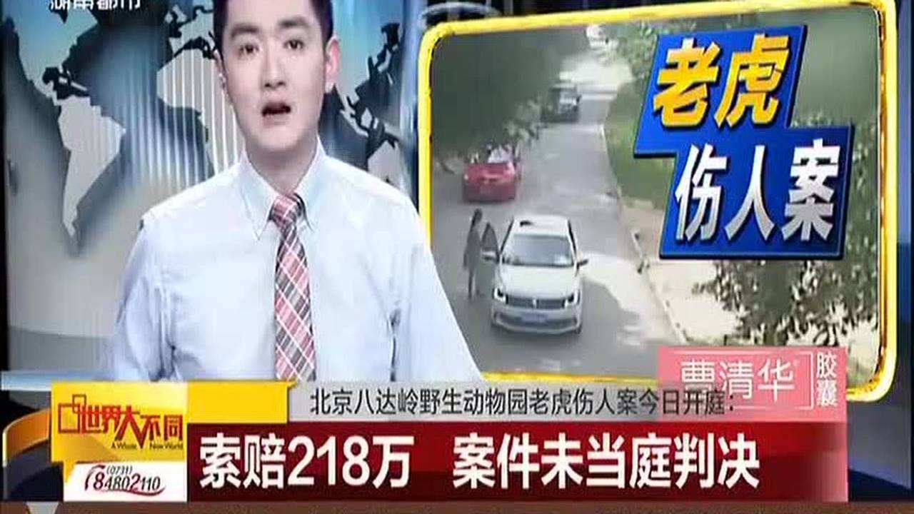 八达岭老虎咬人案女主:我丧母,失业,毁了容,你们咋还不放过?