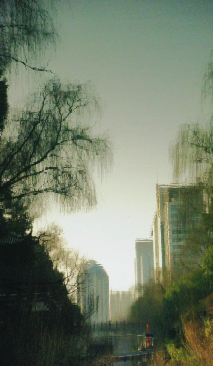 千万把手机倒过来看一下图片!你会发现什么神奇的了?