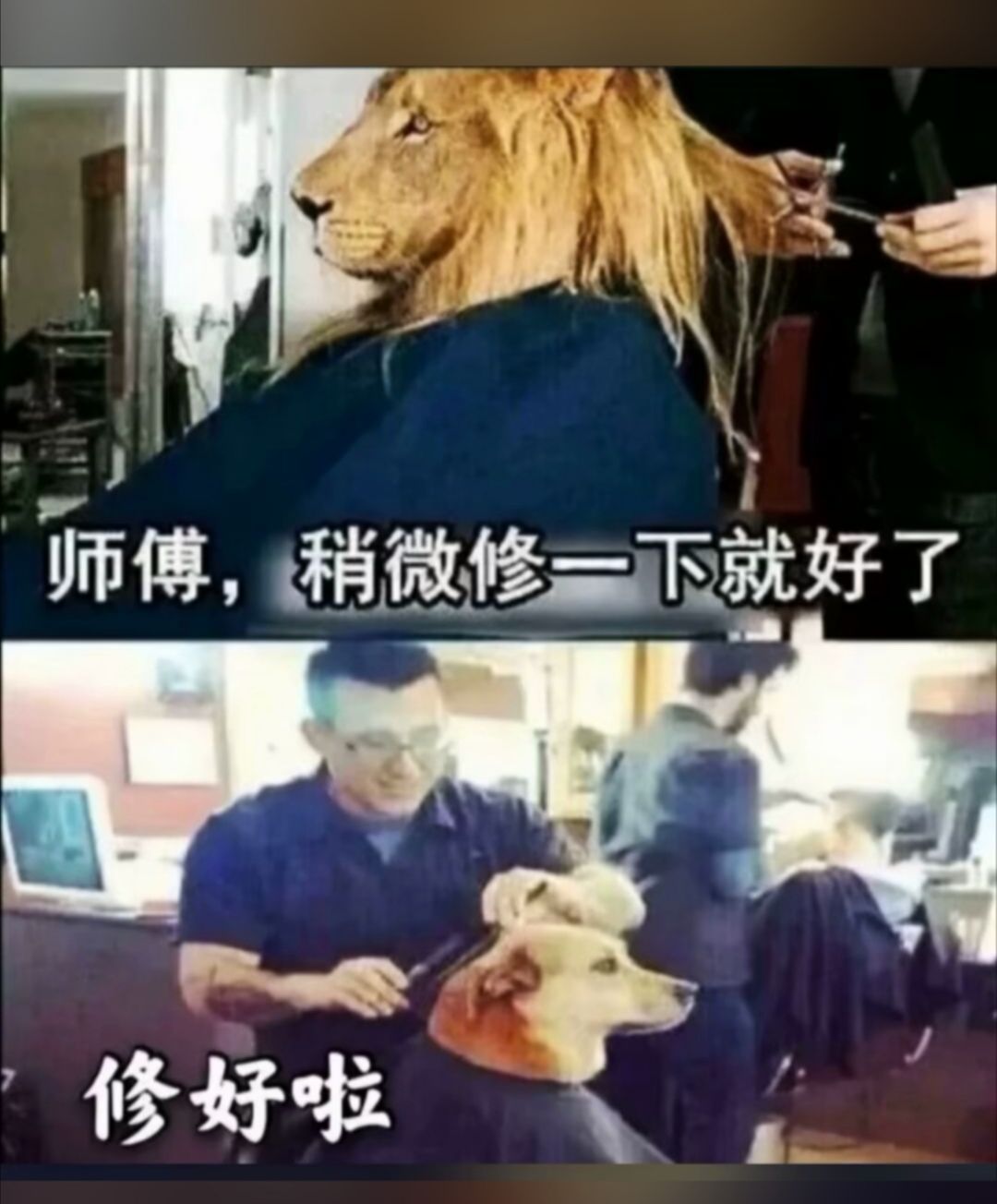 人间真实搞笑图图片