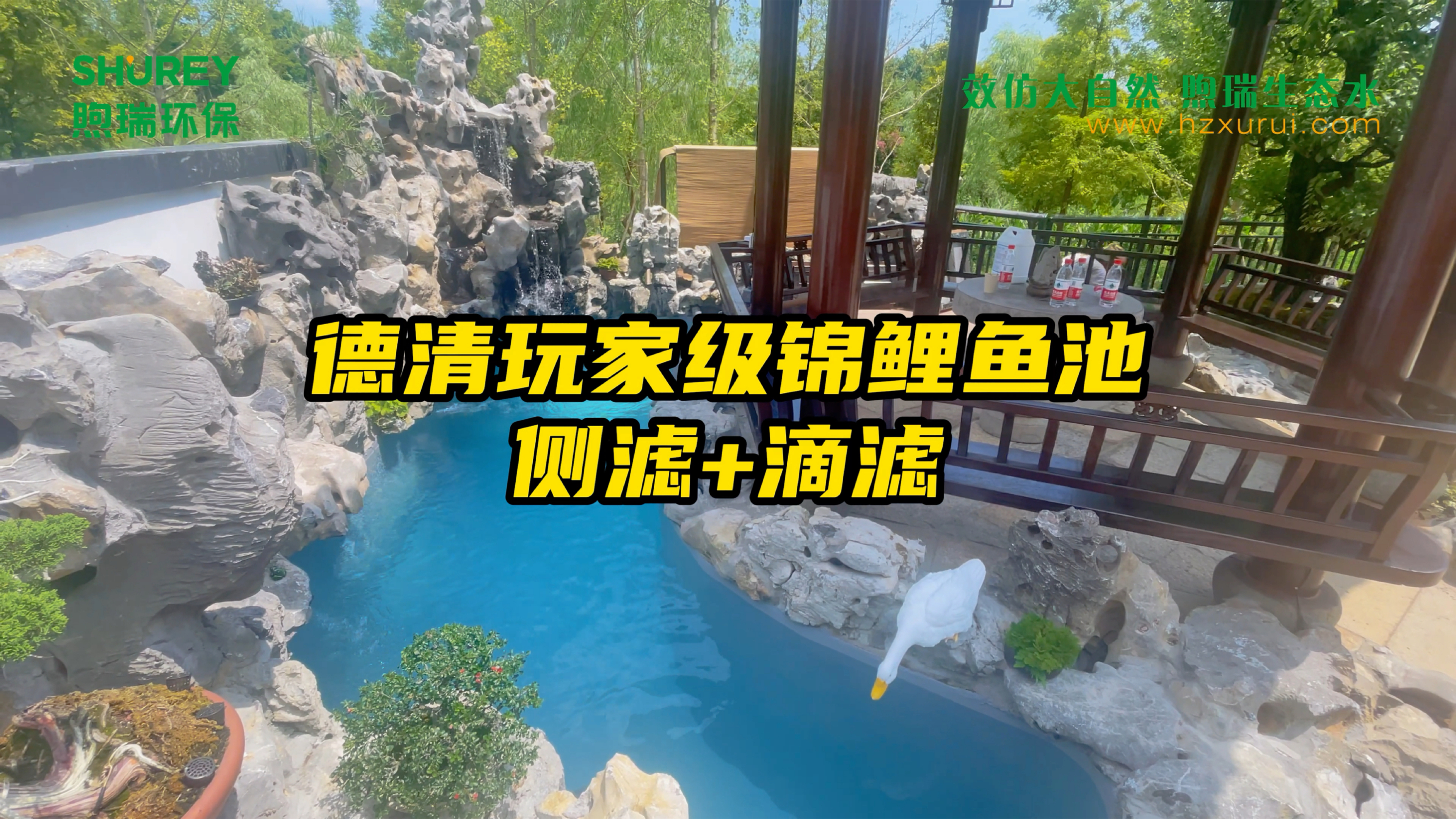 一分钟带您了解一个德清玩家级鱼池建造过程