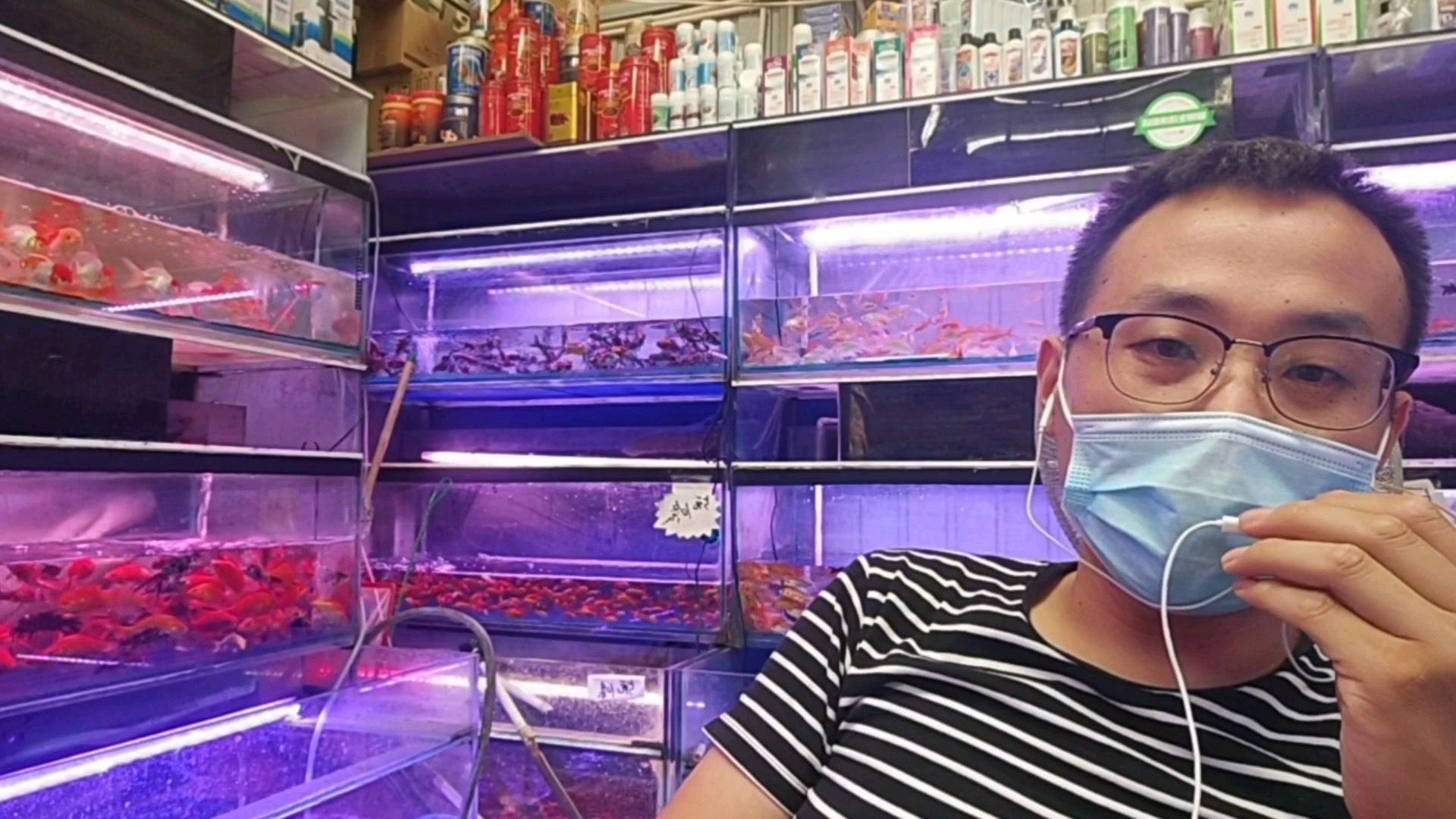 说说我养鱼的亲身经历!这些知识都是用失败积累起来的!