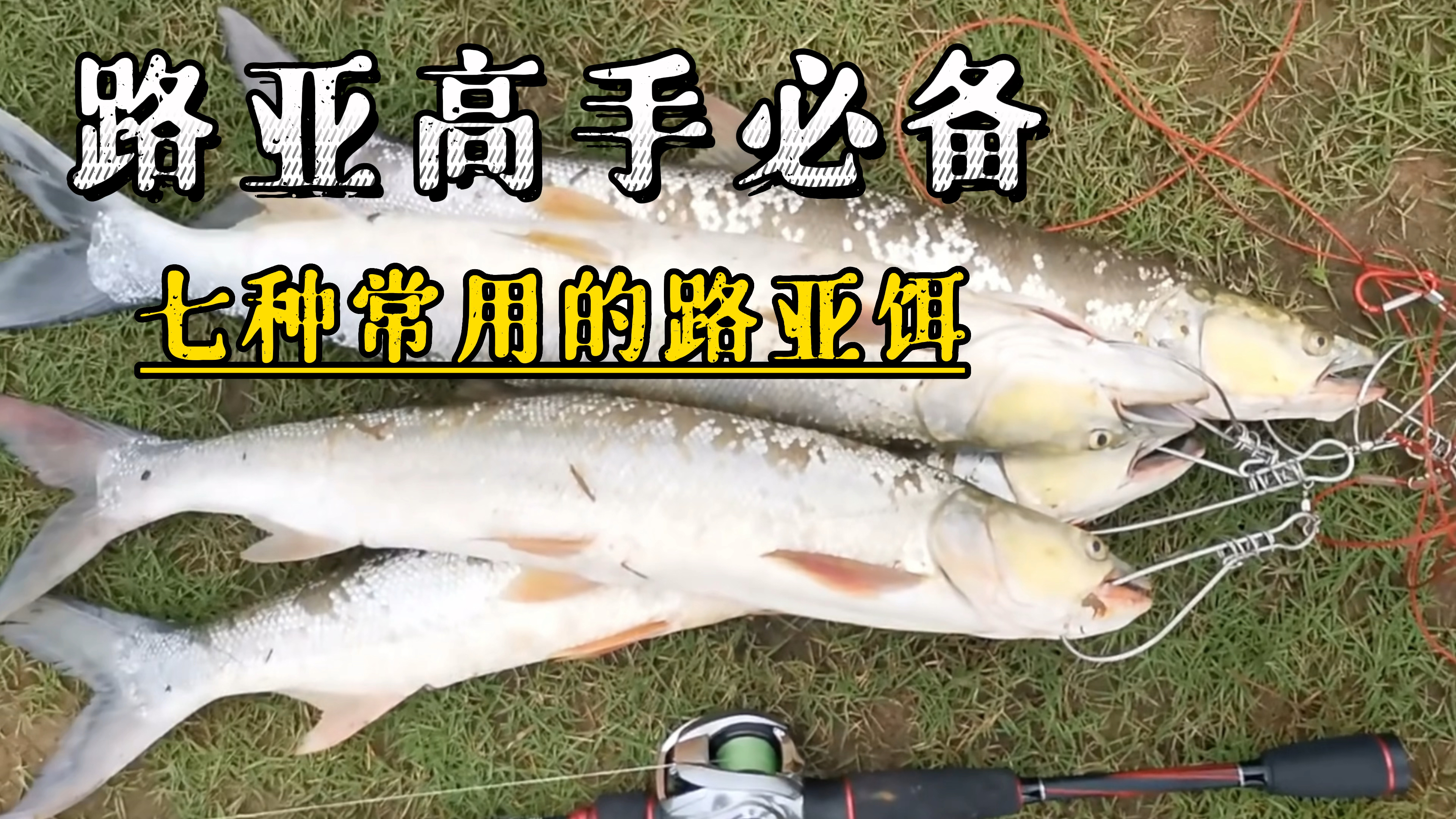 路亚新手必看:路亚高手们必备的7种常用路亚拟饵特点及操作技巧