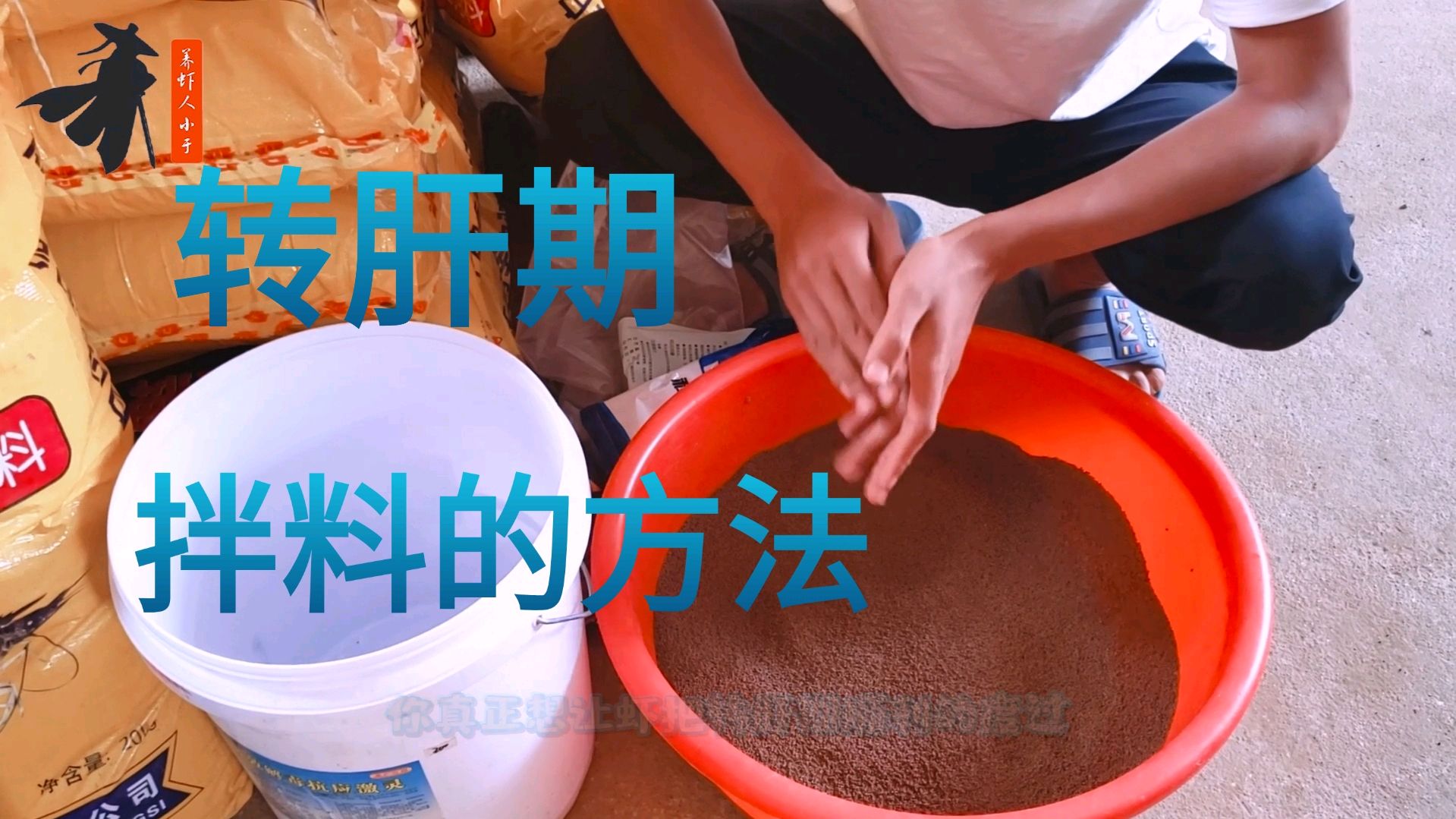 南美白对虾养殖,虾苗转肝期拌料的方法