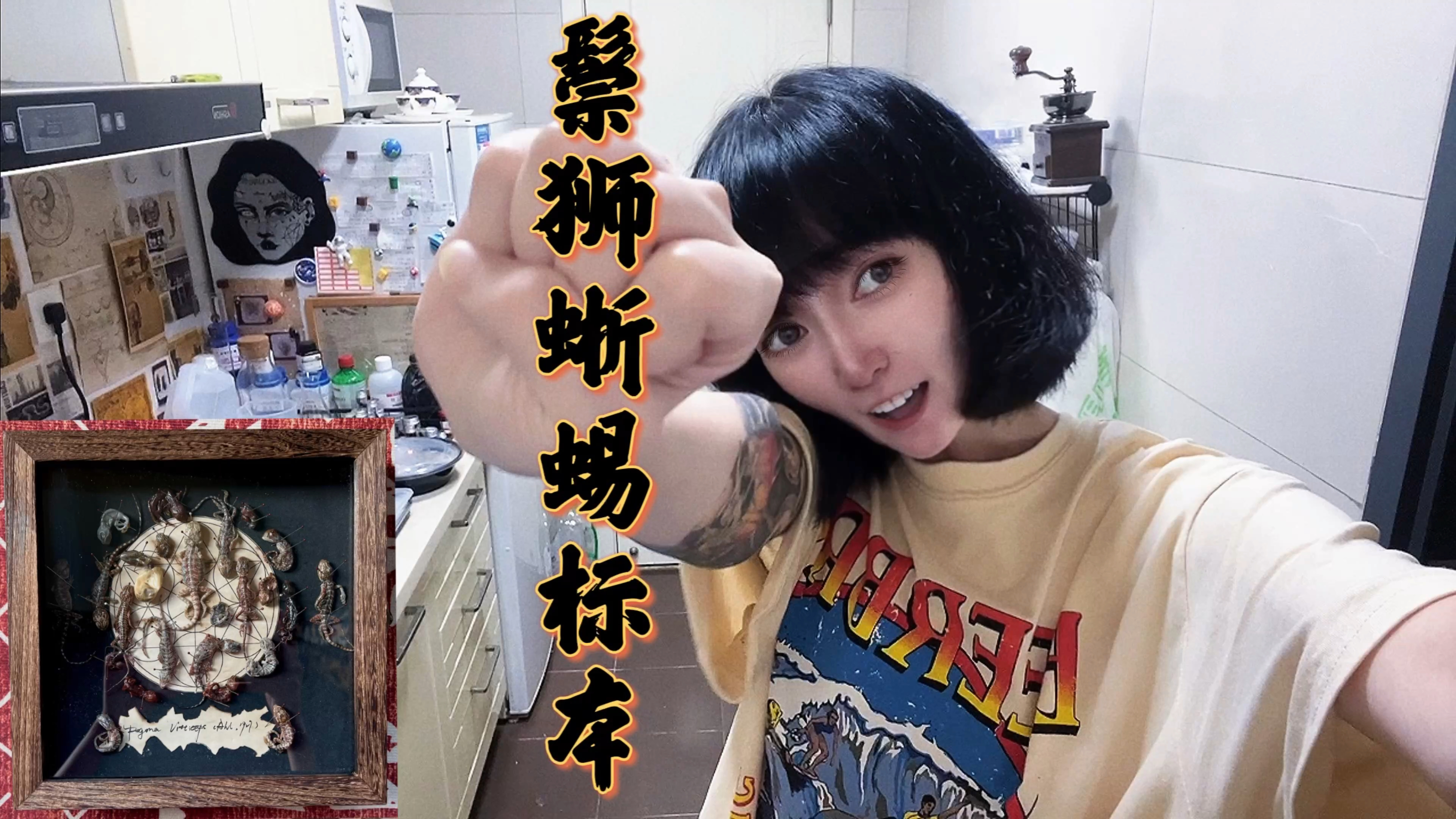 鬃狮蜥蜴塑化标本制作