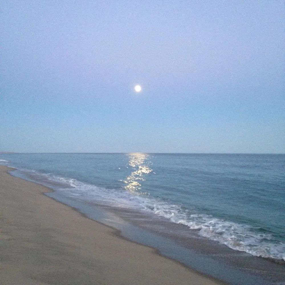 蓝色系朋友圈背景图|落花时节又逢君