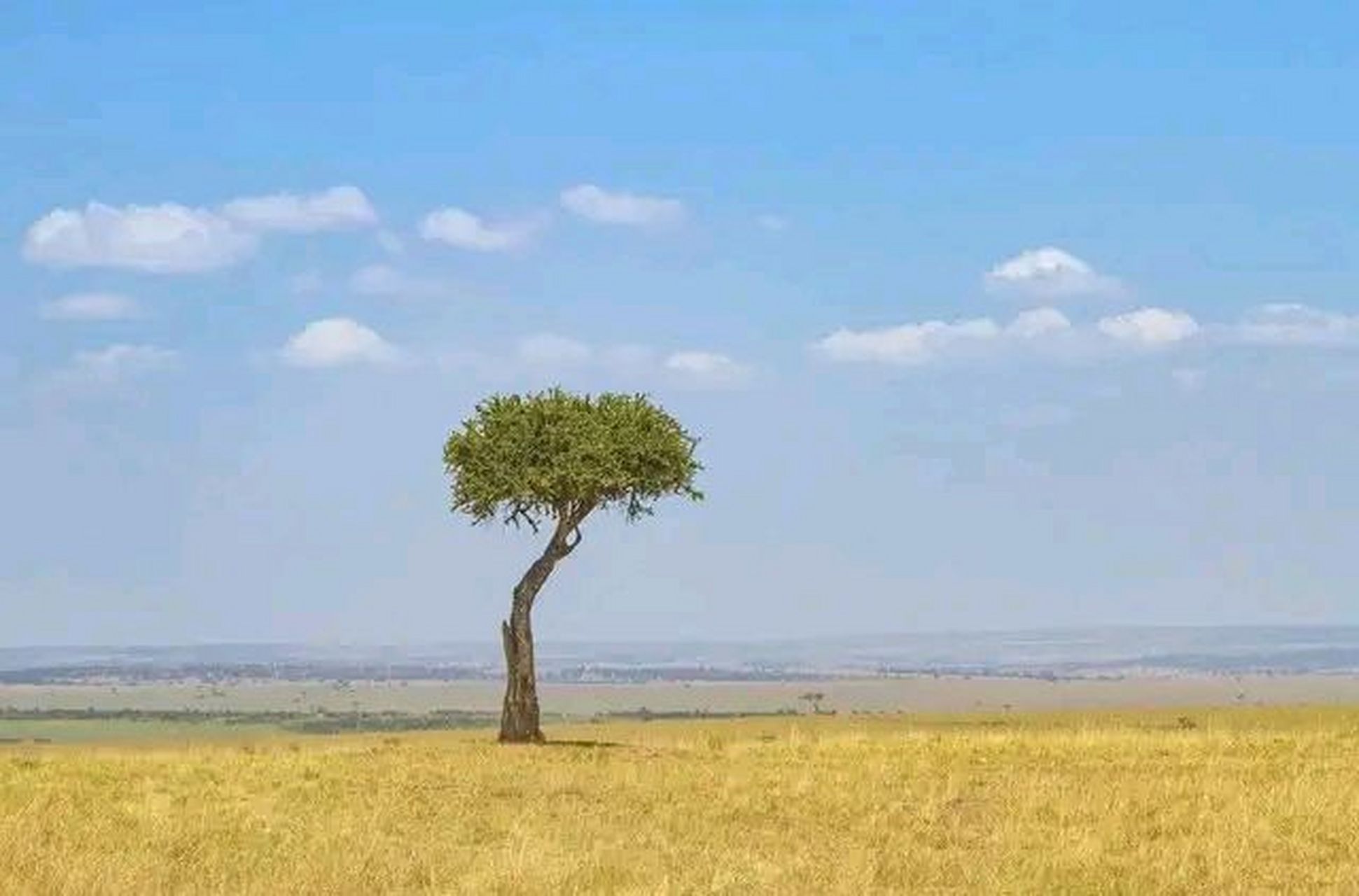 风雨人生路上,无论是顺境还是逆境,都要坦然面对,接受现实,既然一切无