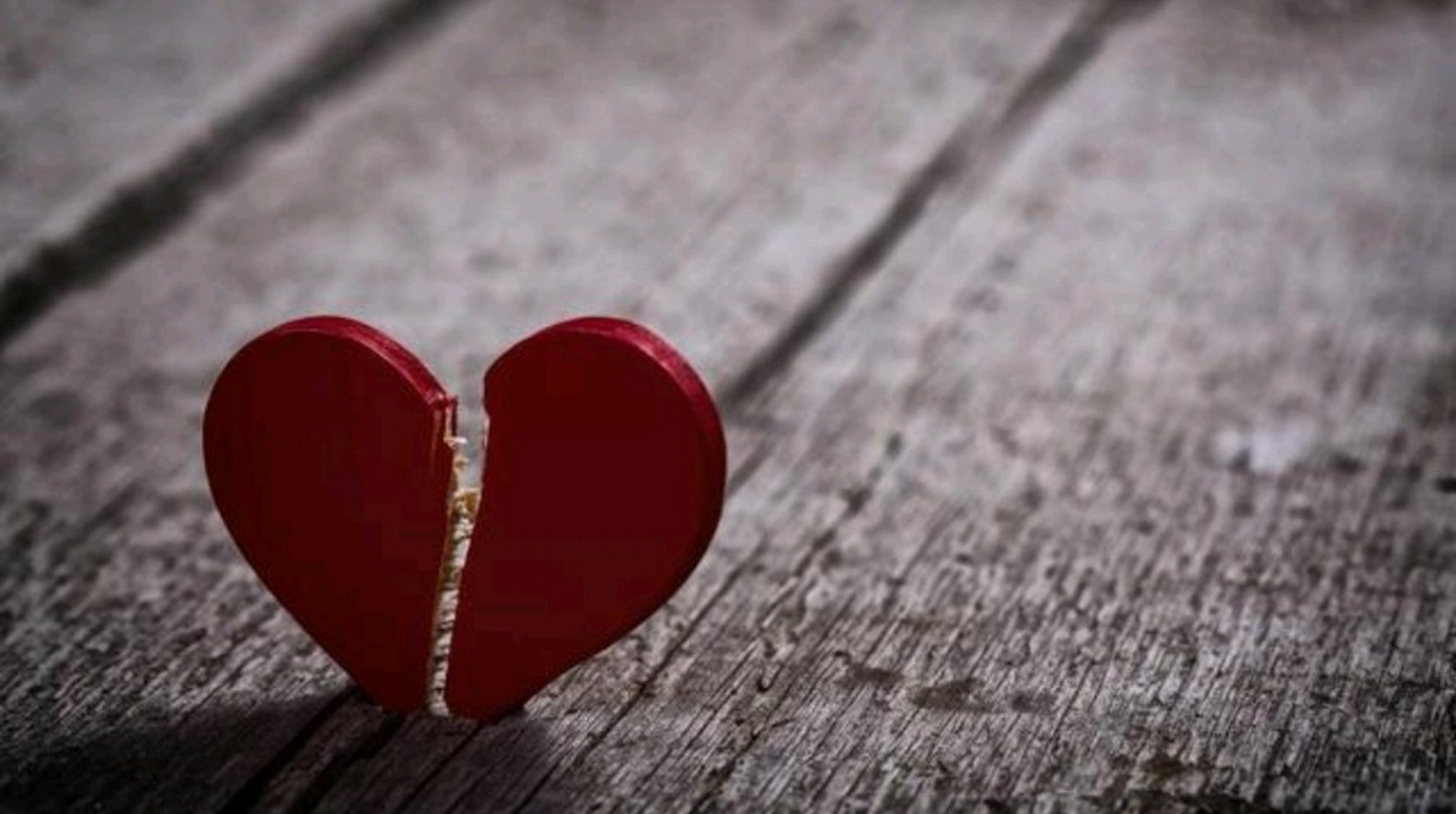 心情不好就少听悲伤的歌,饿了就自己找吃的,怕黑就开灯,想要的就自己