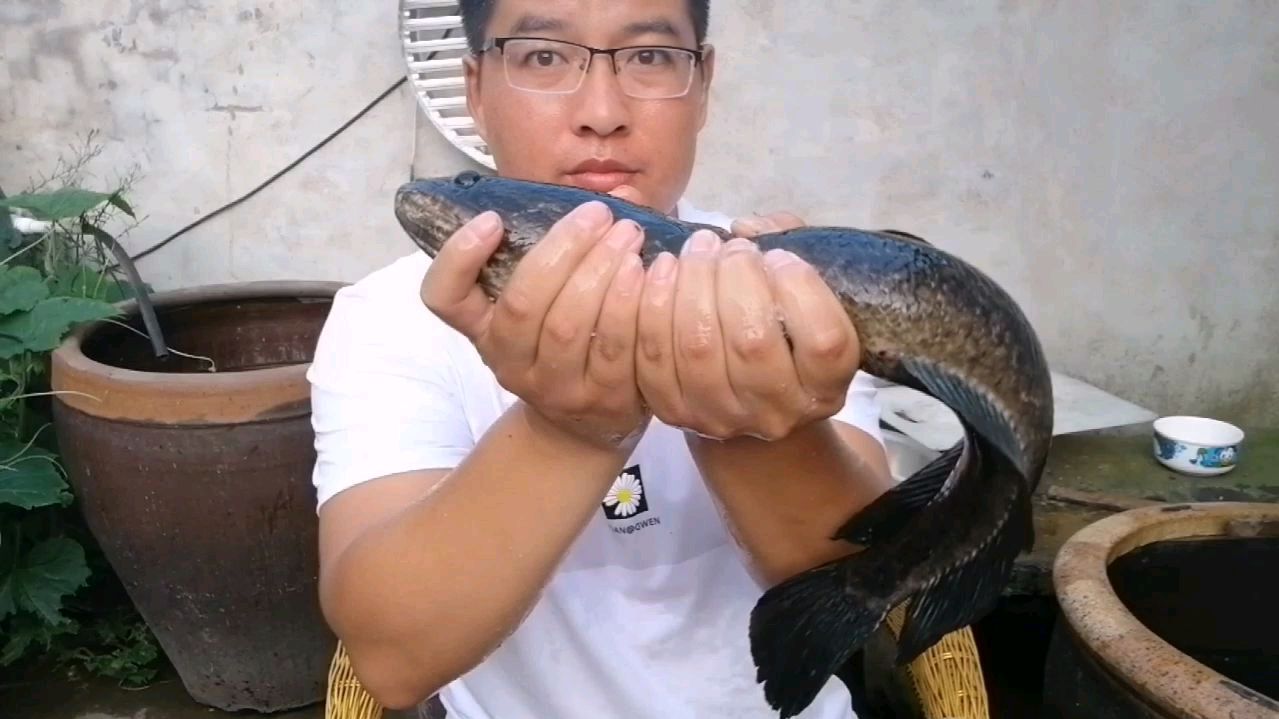 这才是黑鱼的正确钓法,难怪你总是看到钓不到!