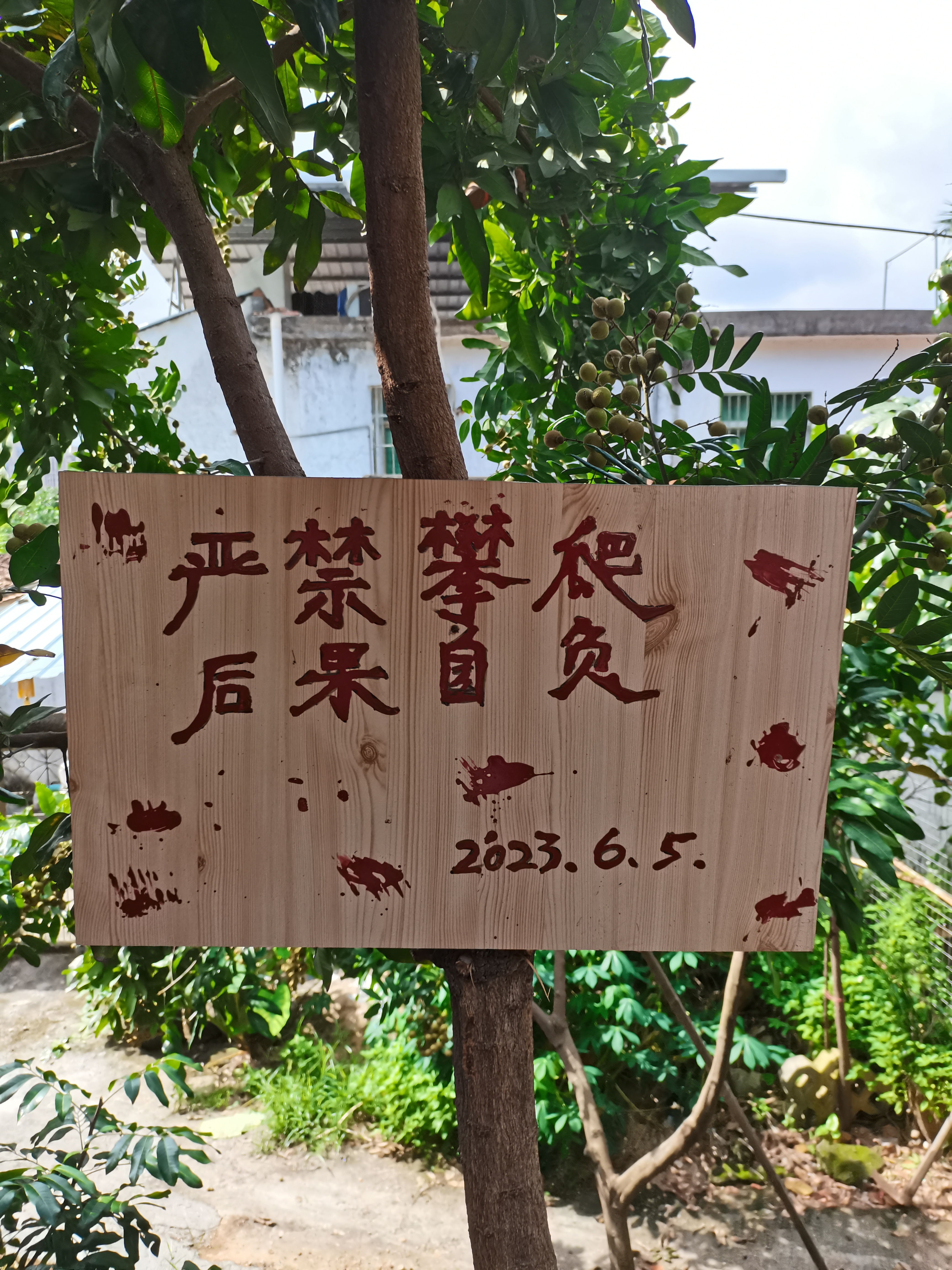 禁止采摘的警示牌简短禁止采摘攀爬不能爬树用英语怎么说请勿采摘英文