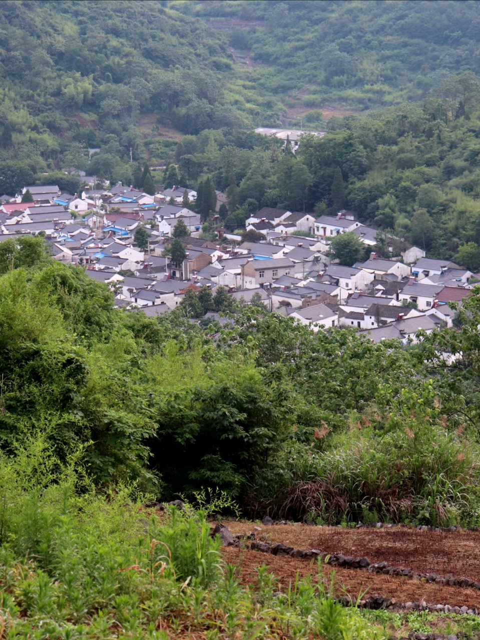 龙山村