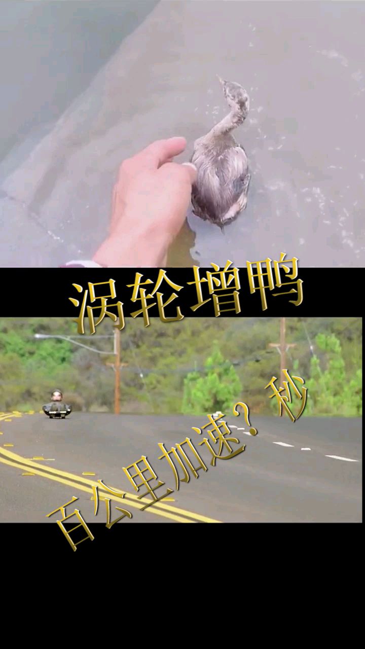 涡轮增鸭的名字由来