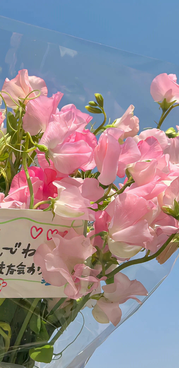 美美的粉色锁屏壁纸 通通换上! 676767