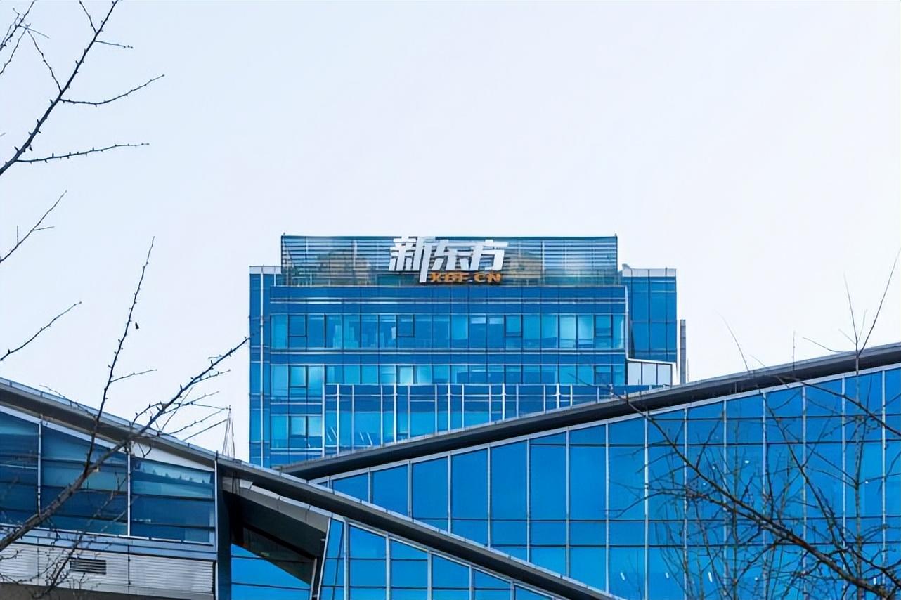 新东方转行做旅游?