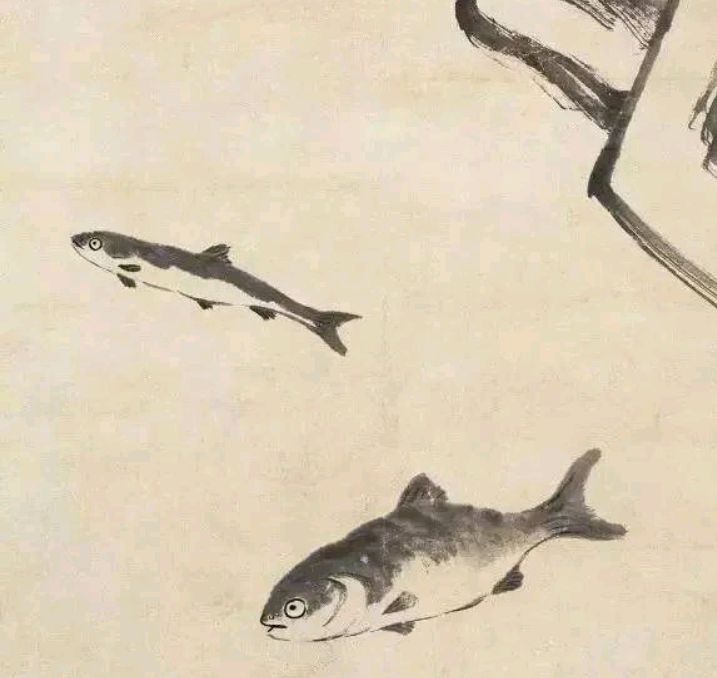 八大山人画鱼,白眼向上,来去自由!