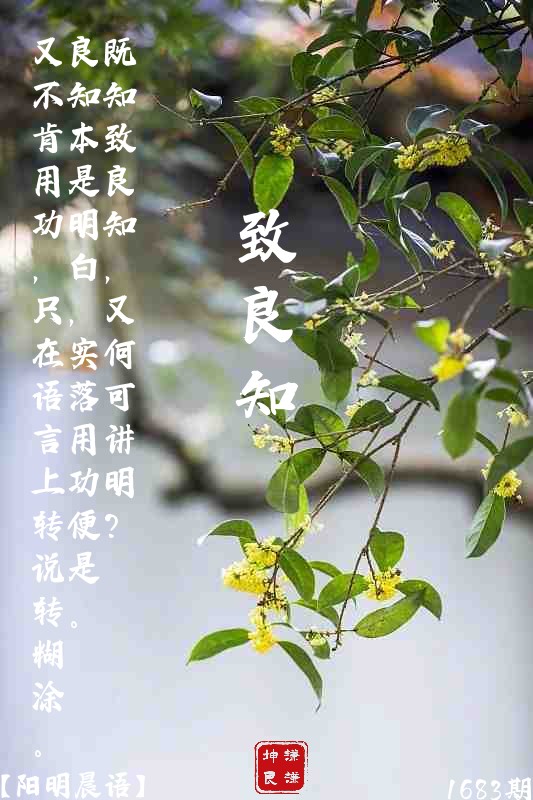 「阳明晨语」1683期 致良知