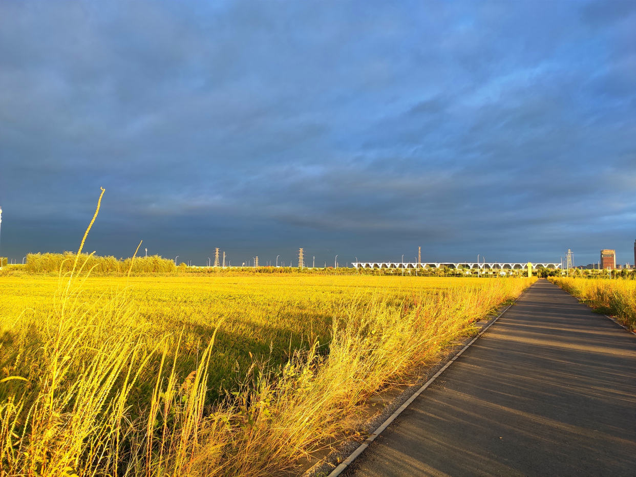 雨后的绿屏·辛庄湾